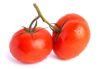 Two red tomatoes on one branch