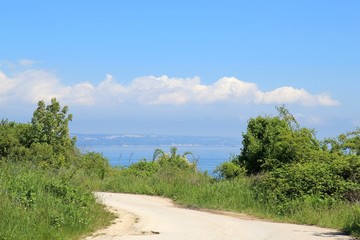 The road to the sea. Varna region, Bulgaria.