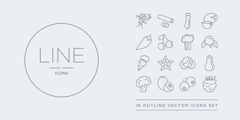 16 line vector icons set such as blackberry, berries, breast milk fruit, broccoli, butternut squash contains cabbage, carambola, carrots, cauliflower. blackberry, berries, breast milk fruit from