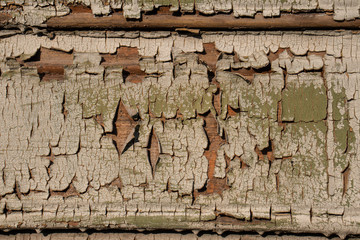 White green brown aged wood texture background