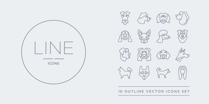 16 line vector icons set such as afghan hound dog, akita dog, alaskan klee kai dog, american eskimo american hairless terrier contains american leopard hound water spaniel anatolian shepherd
