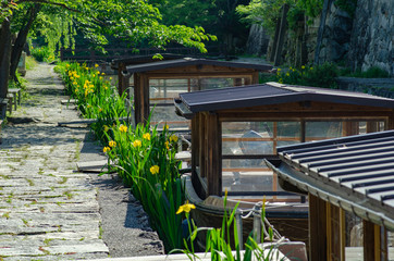 近江八幡　八幡堀