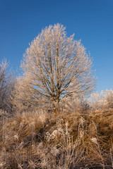 winterliche landschaft