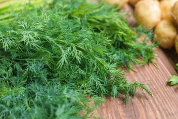 Fresh green organic dill on a wooden background.