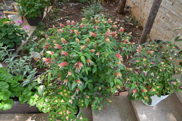 Greece Crete landscape mountains road panorama sea shore sun beach