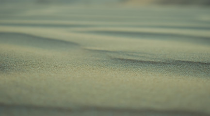 Endless desert sand dunes near Abu Dhabi