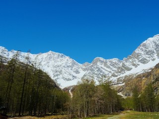 View of Monte Rosa on a sunny day near the village of Macugnaga, Italy - April 2019