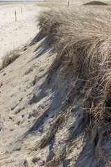 Sandwitch boardwalk beach at Cape Cod (Massachusetts)