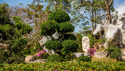 Obraz premium Luxury landscape design of the tropical garden. Beautiful view of tropical landscape