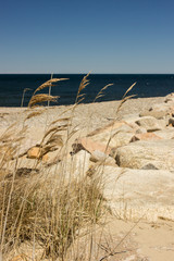 Sandwitch boardwalk beach at Cape Cod (Massachusetts)