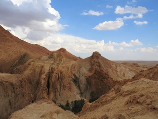 Mountain oasis of Chebika with palm trees in sandy Sahara desert, blue sky, Tunisia, Africa.