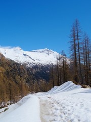 Fototapeta na wymiar View of the Italian Alps on a sunny day near the town of Macugnaga - April 2019