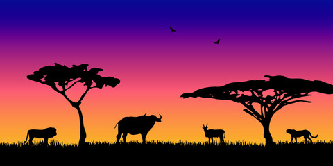 Fototapeta na wymiar Landscape of African savannah. Silhouette of animals in wild nature