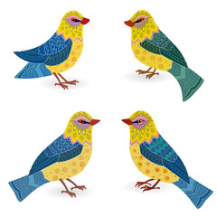 collection of pretty birds for your design