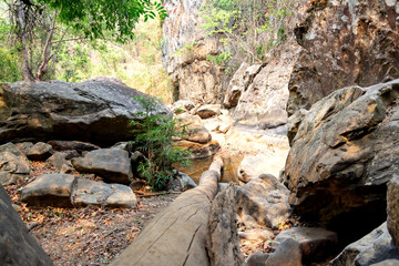 Obraz premium large boulders in the forest