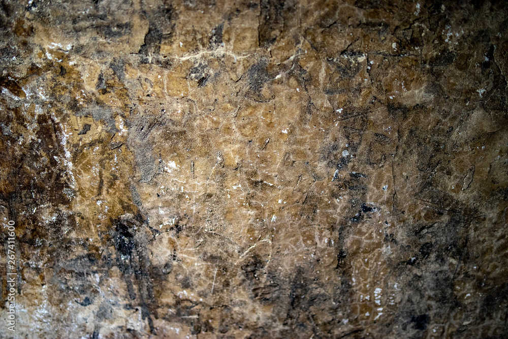 Wall mural old wall texture in abandoned tunnel, 2 world war