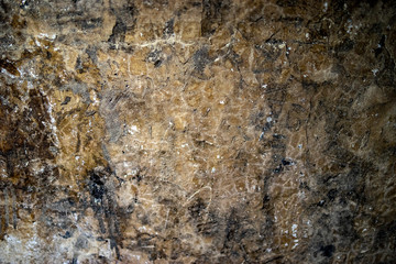 Old wall texture in abandoned tunnel, 2 world war