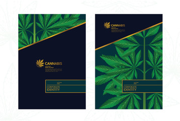 Elegant green cannabis leaf Background vector illustration.