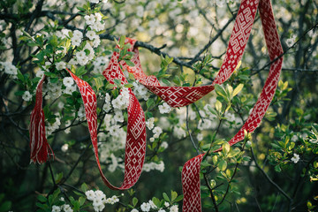 Lielvardes belt in spring