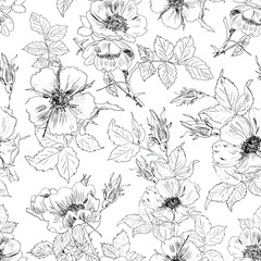Seamless floral background with rosehips. Hand-drawn pattern with flowers.
