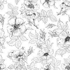 Fototapeta premium Seamless floral background with rosehips. Hand-drawn pattern with flowers.