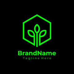 Hexagon Green Nature Logo Ecology Logo Flat Vector Illustration
