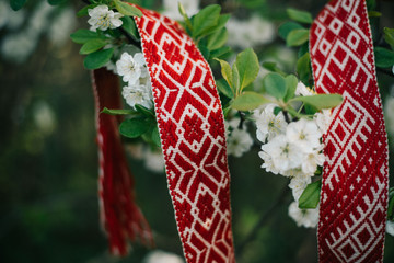 Lielvardes belt in spring
