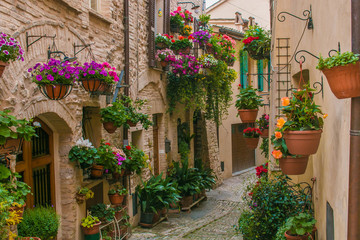 Fototapeta na wymiar Vicolo fiorito nel borgo medievale di Spello in Umbria