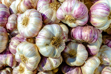 Makroaufnahme: frischer Knoblauch auf einem Markt