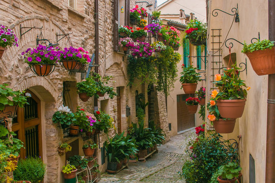 Vicolo fiorito nel borgo medievale di Spello in Umbria