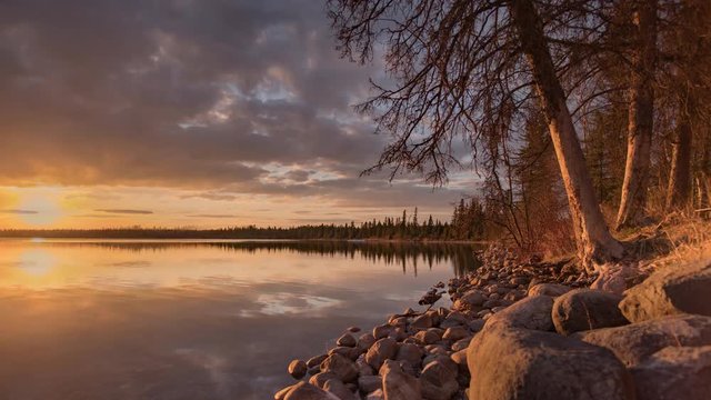 Time-lapse video of sunset, blue hour and stars reflecting in a northern lake with pine trees along the shoreline