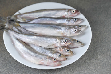 Raw smelt fish on white plate. Gray background. View from above. Close-up.