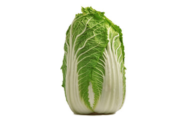 Fresh chinese cabbage on a white background, isolated.