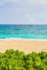 Caribbean Island Shore Waves Beach
