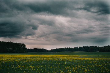 Storm over latvian fields