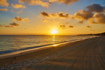 Obraz premium Sunrise at Bahamas Atlantis Paradise Island