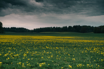 Storm over latvian fields