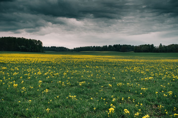 Storm over latvian fields