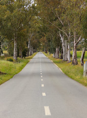 landscape of country road. Countryside road
