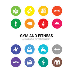 16 gym and fitness vector icons set included abs, anatomy, arm, athletic strap, barbell, bench press, biceps, bodybuilder, bosu ball, boxing bag, yoga mat icons