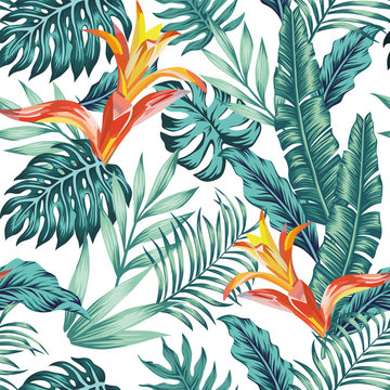 Seamless pattern tropical leaves flowers white background