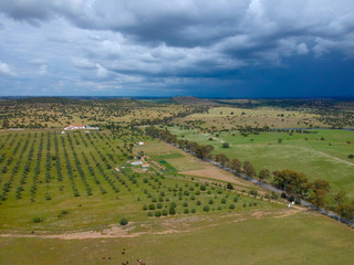 Fototapeta na wymiar Aerial view of a farm field with storm clouds in background. Alentejo Portugal