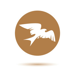 Falcon Eagle Bird Logo Template vector icon