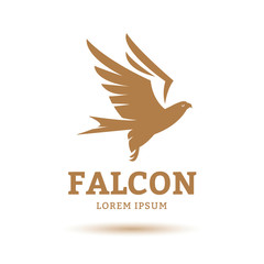 Falcon Eagle Bird Logo Template vector icon