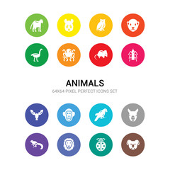 16 animals vector icons set included koala, ladybug, lion, lizard, llama, macaw, monkey, moose, mosquito, mouse, octopus icons