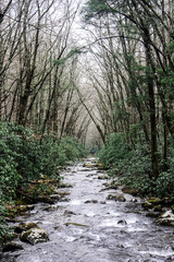 River in Great Smoky Mountains National Park on the Border of Tennessee and North Carolina  