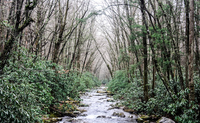 River in Great Smoky Mountains National Park on the Border of Tennessee and North Carolina  