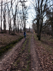 Wanderung im Nationalpark Kellerwald 