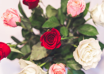 Schöner Blumenstrauß bestehend aus Rosen 
