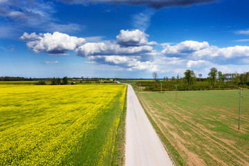 Fields and roads in latvian countryside.